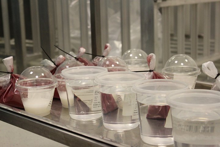 Příprava surovin k navažování - v tomto skladu čekají suroviny na analytické a mikrobiologické propuštění – teprve potom je možno rozepsat výrobní příkaz pro jednotlivé přípravky. 