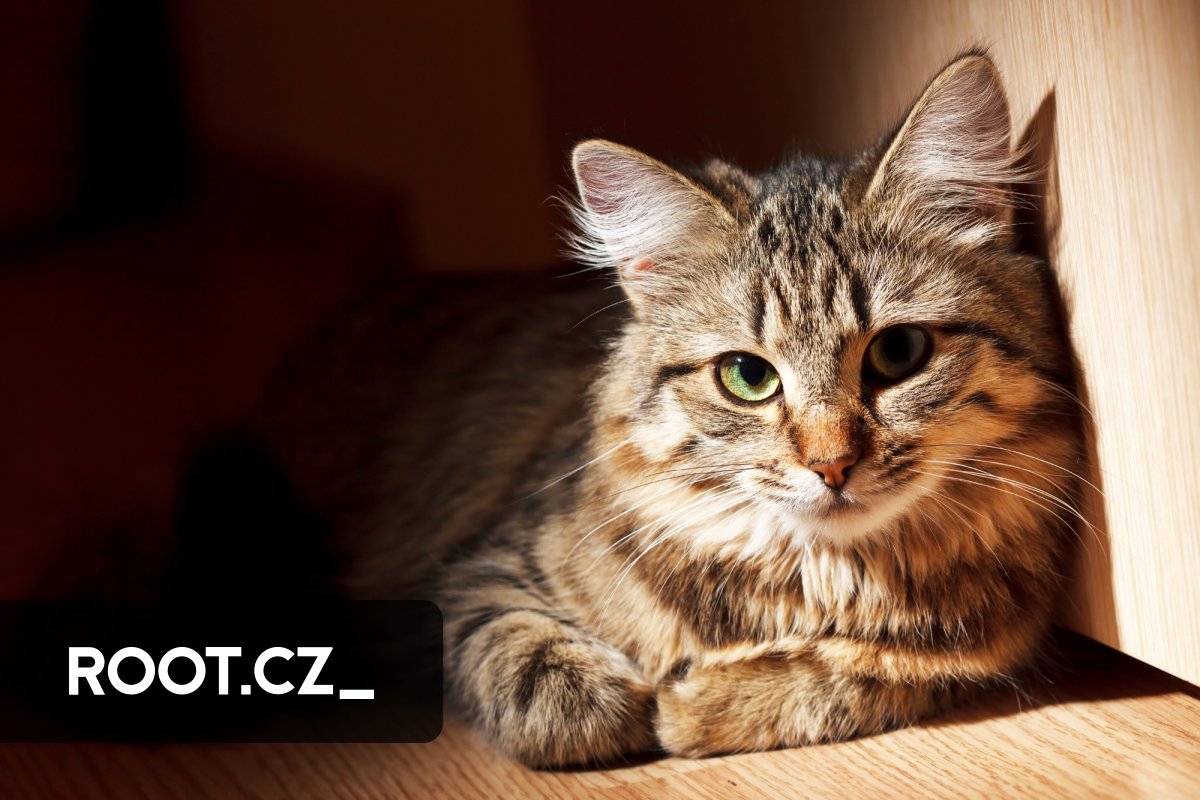 Bootkitty は、Linux 用に設計された最初の UEFI ブートキットです