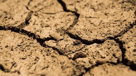 Náhledový obrázek - Česko znovu trápí sucho. Předpověď očekává rychlé zhoršování stavu