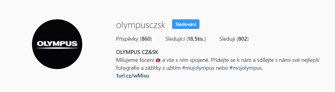 Jak může vypadat bio na Instagramu