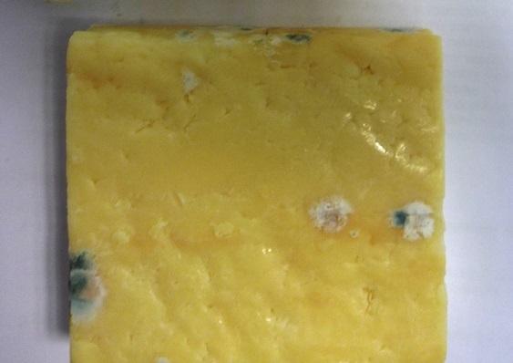 CHEDDAR CHEESE -  Na povrchu kolonie zelené až bílozelené plísně. Výrobek měl poškozený obal. Místo kontroly: Tesco, Jaroměř