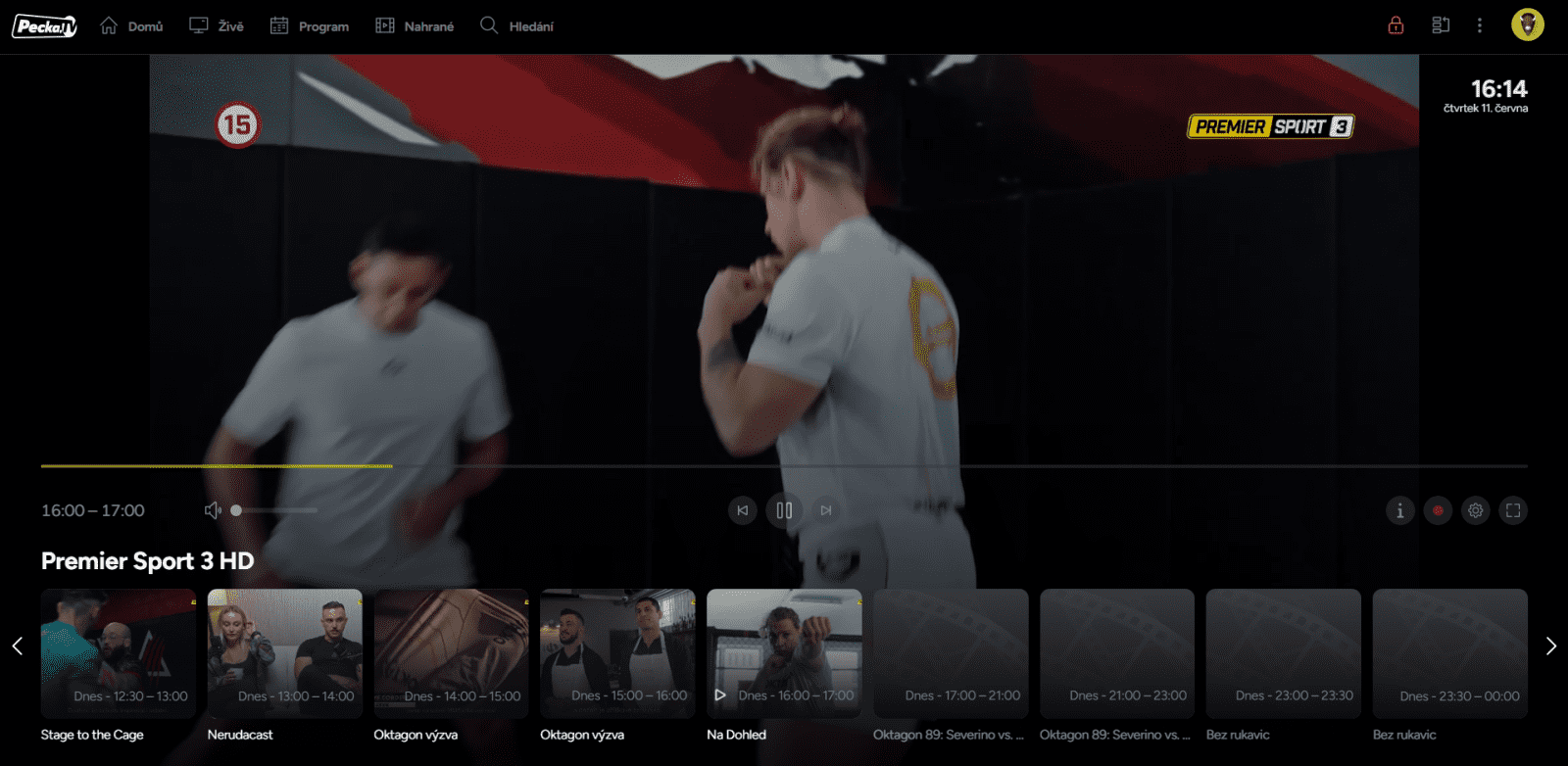 Přehrávač ve službě Pecka.TV