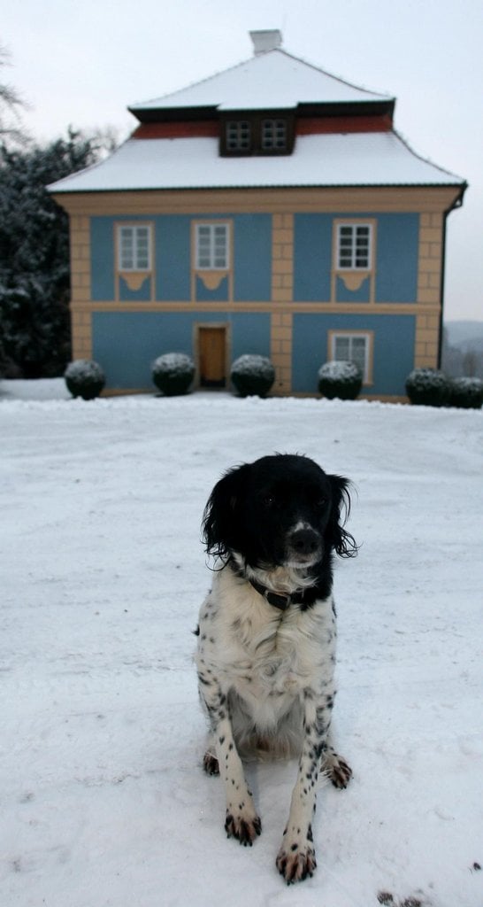 2016-12-pohled-do-rodinnc3bdch-alb-karla-schwarzenberga-a-miloc5