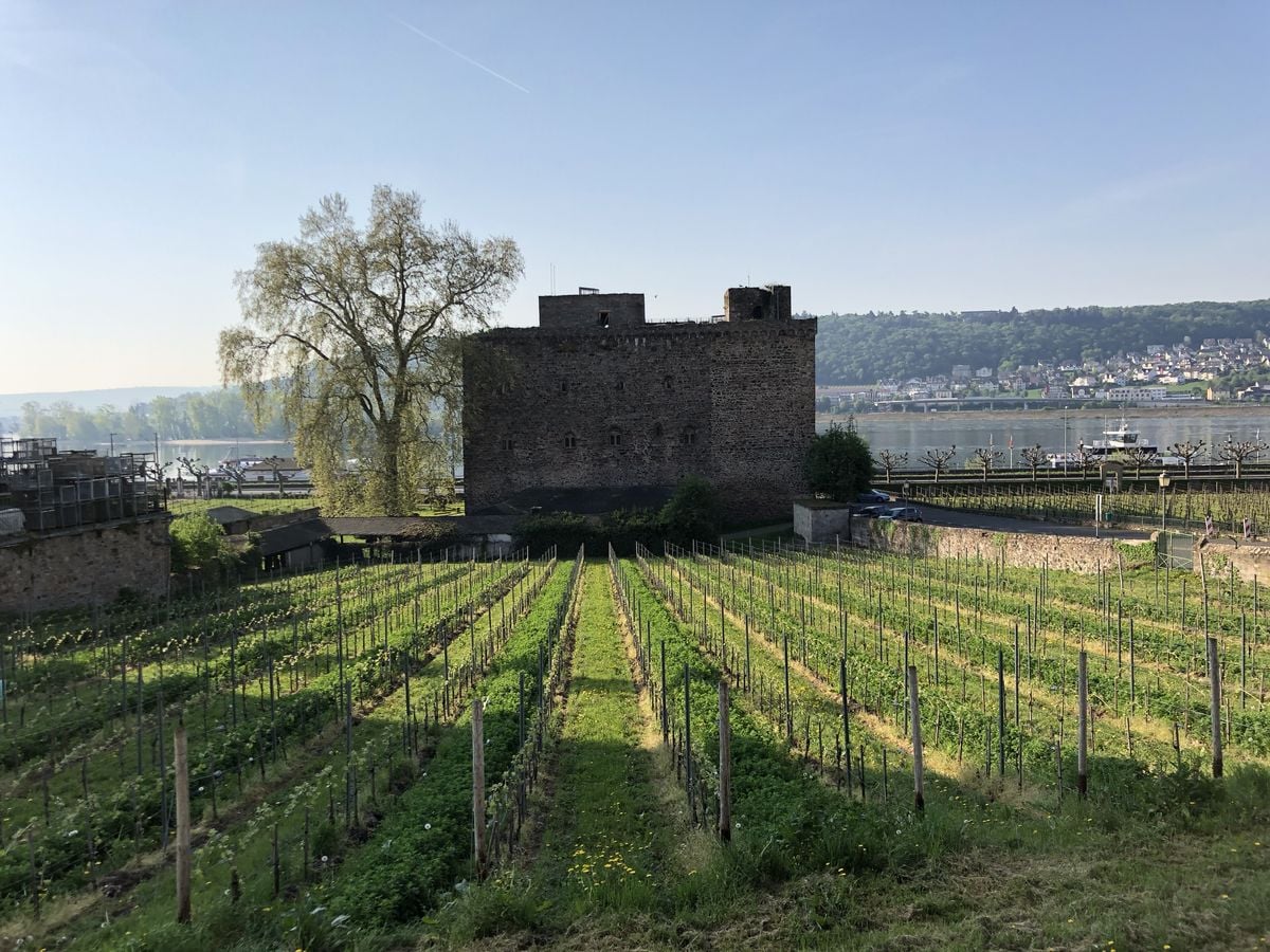 Vinařské městečko Rüdesheim