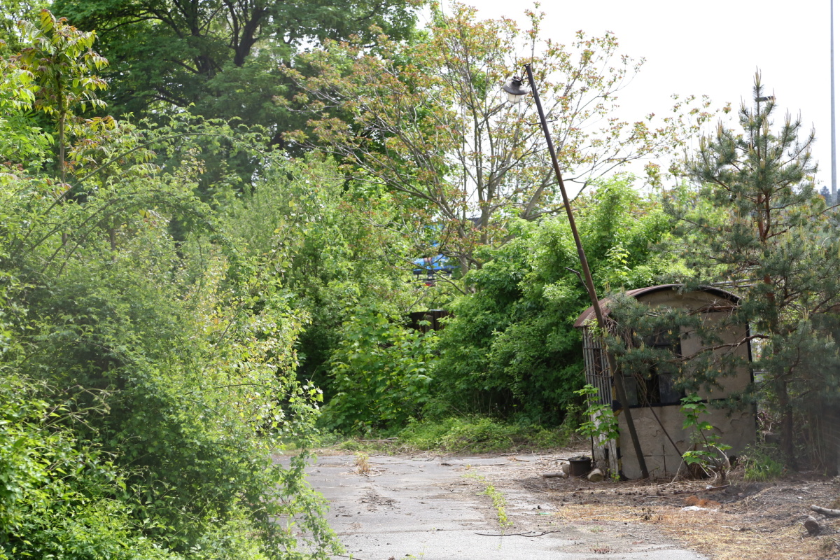 Chátrající zlíchovský lihovar