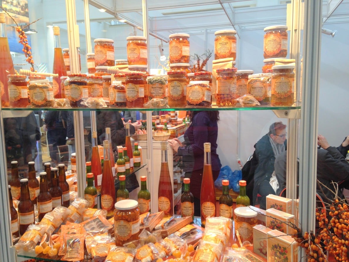 Jak to žilo na Salimě 2016