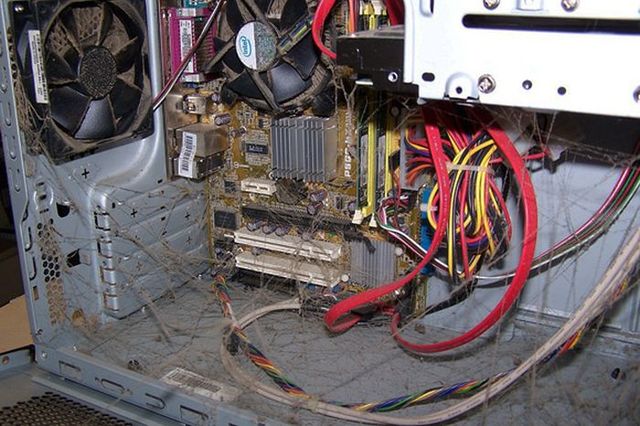 Pavučiny a pavouci bývají častými obyvateli.