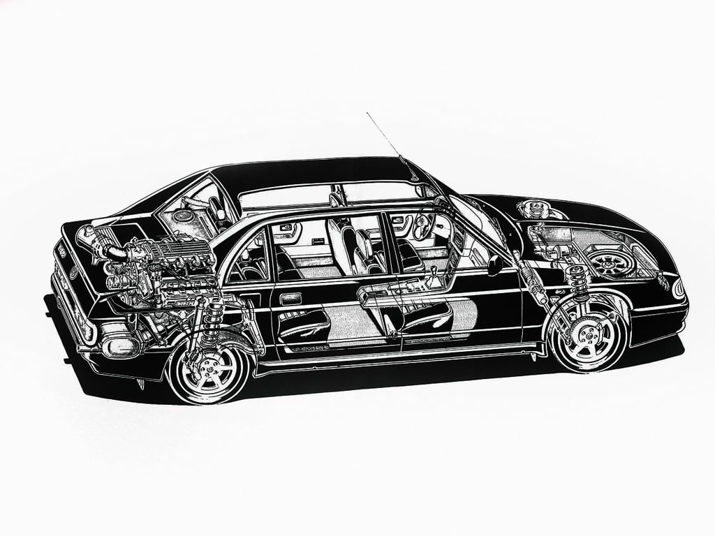 Na rentgenovém snímku si každý všimne velkorysého prostoru v místě zadních sedadel