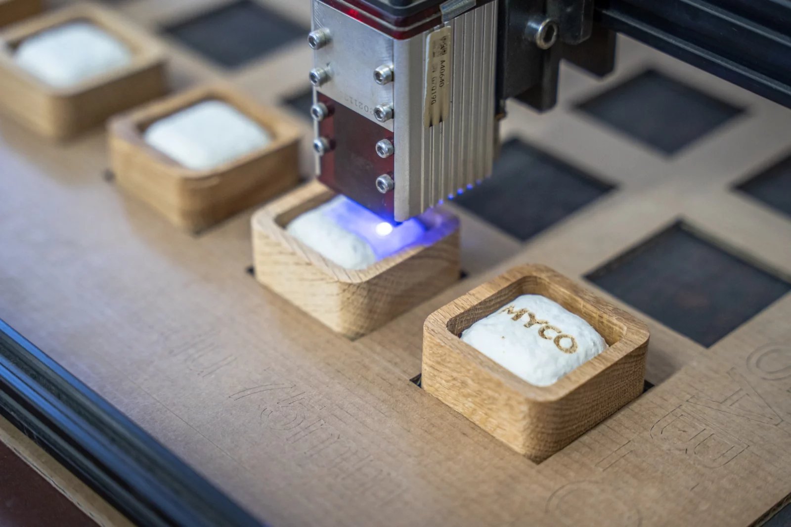 Využití mycelia v praxi