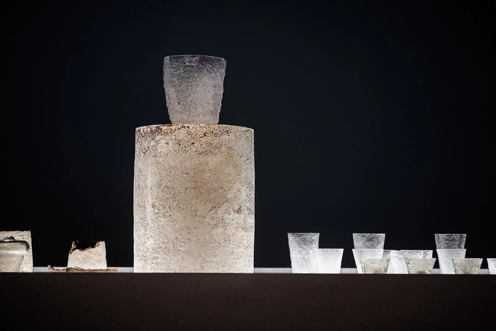 Využití mycelia v praxi