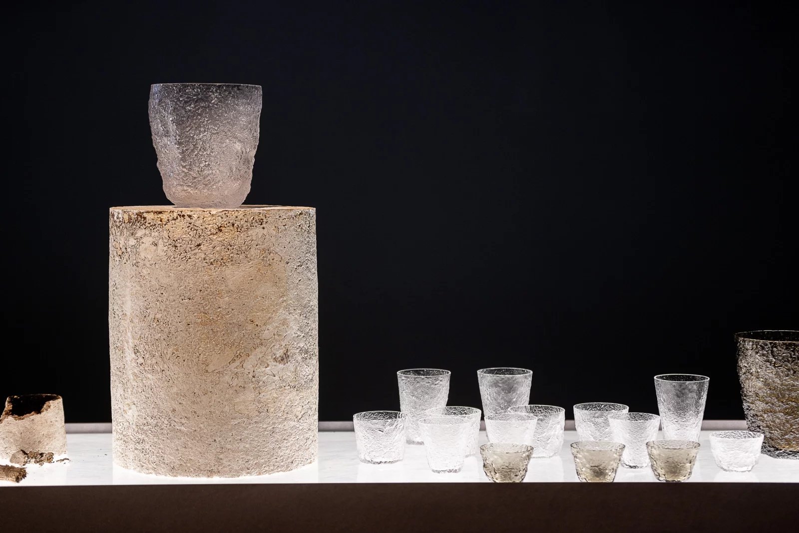 Využití mycelia v praxi