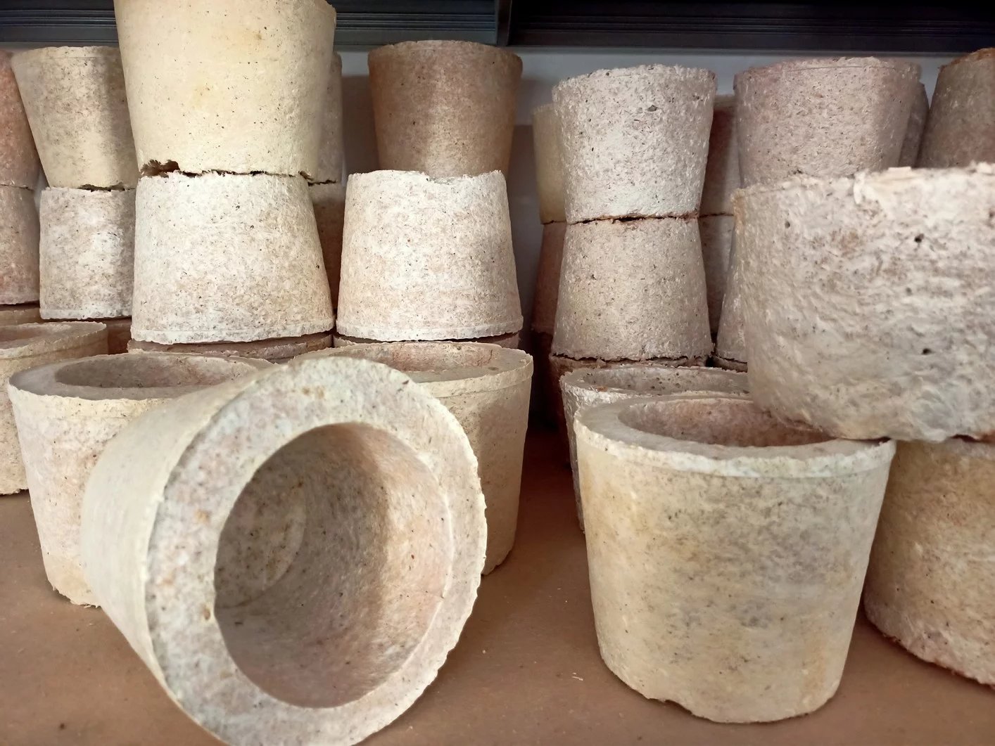 Využití mycelia v praxi