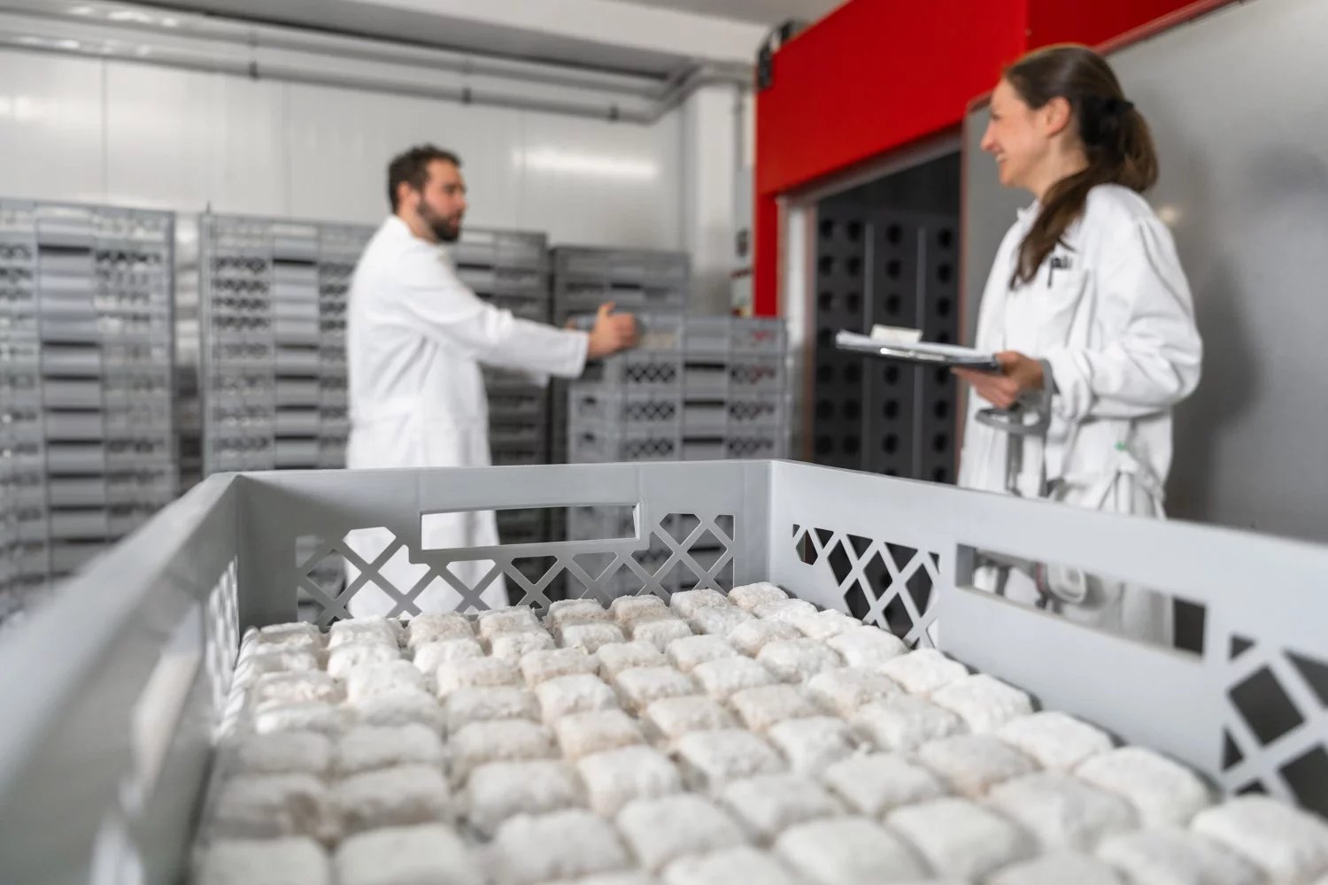 Využití mycelia v praxi