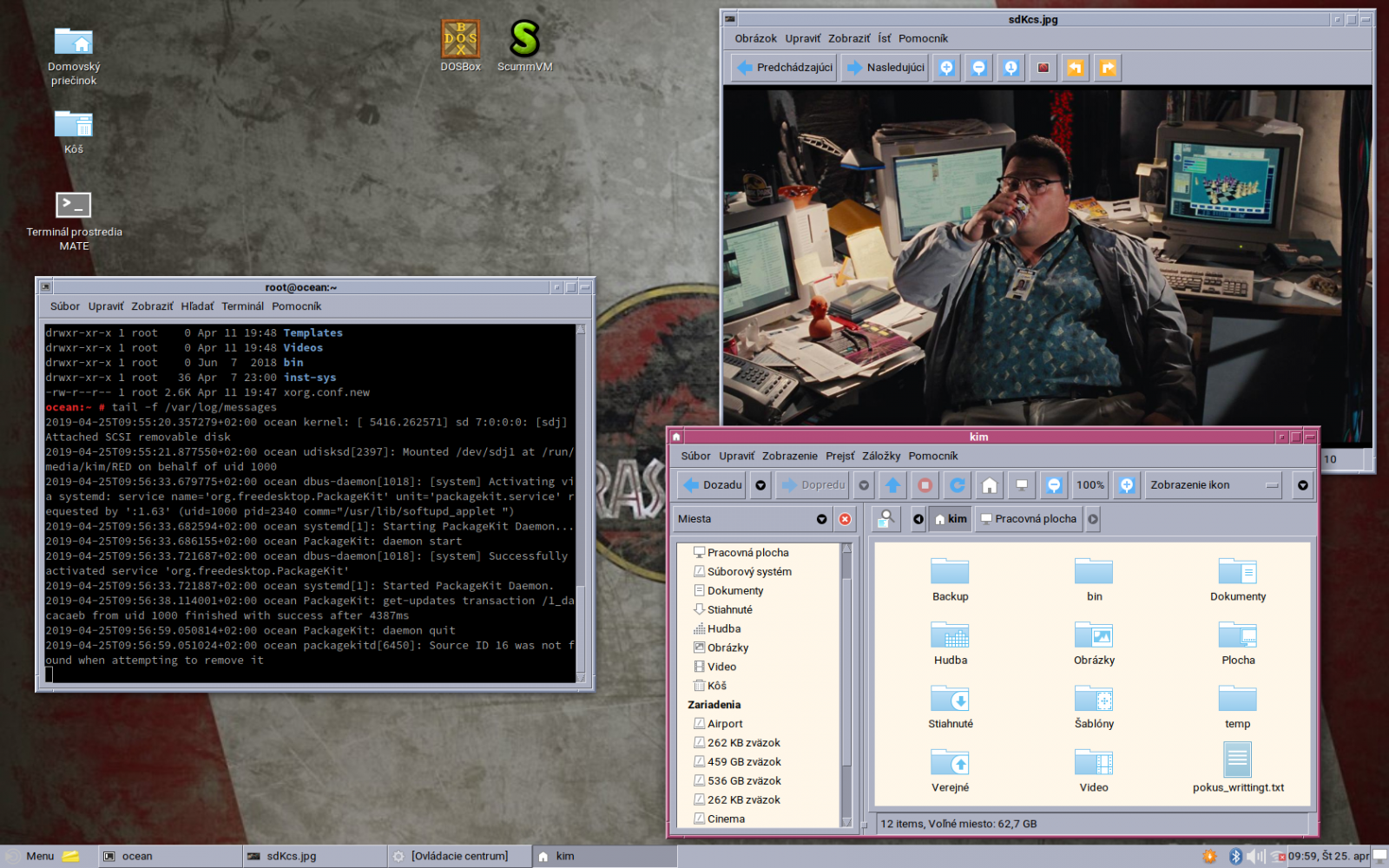 Ako správny fanúšik Jurského parku som sa rozhodol, že môj openSuse  server s Mate desktopom by mal pripomínať Unix "z viac civilizovaných čias". Témou je Solaris CDE + Victory icon theme.