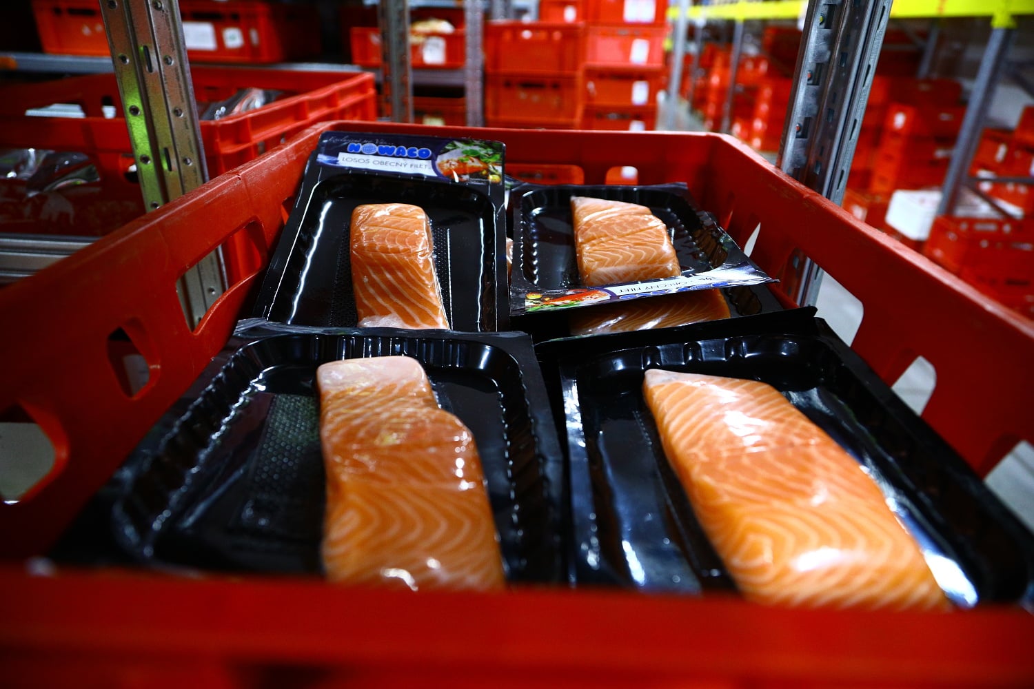 Podívejte se do zázemí online supermarketu Košík.cz