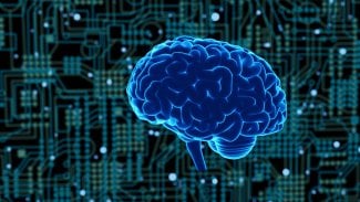 Umělá inteligence, AI, mozek