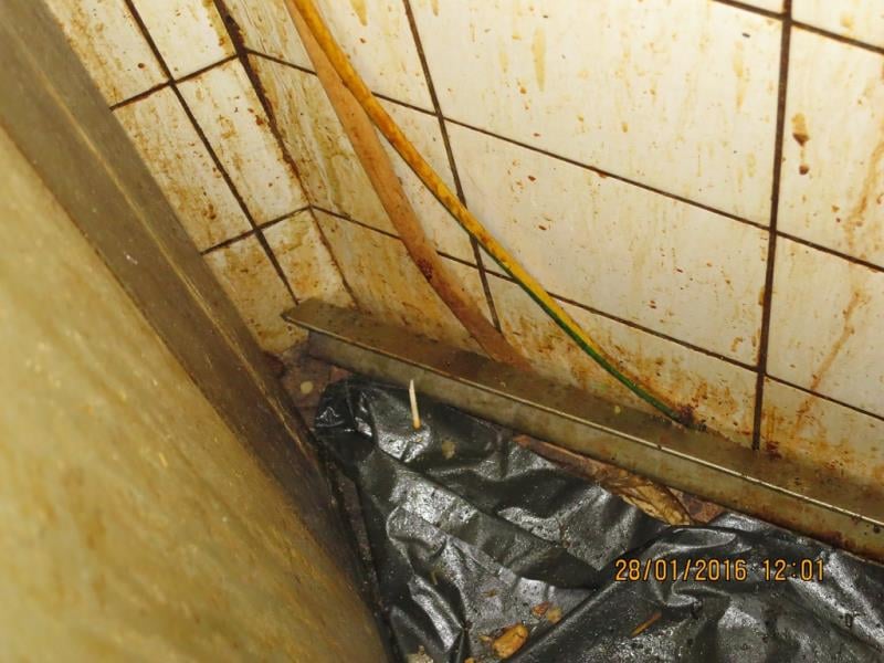 BETYS group s.r.o., RESTAURACE KVĚTEN, Praha 10. Uzavřena pouze část provozovny – kuchyň. Zjištěné skutečnosti: Výrazně zanedbaný úklid, výrazné znečištění všech prostor, nečistoty na stěnách, podlaze, na regálech či zařízeních, silně znečistěná chladicí zařízení (nejsou jiné skladovací prostory) ad.