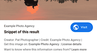 Google Images - zobrazení licence atd.