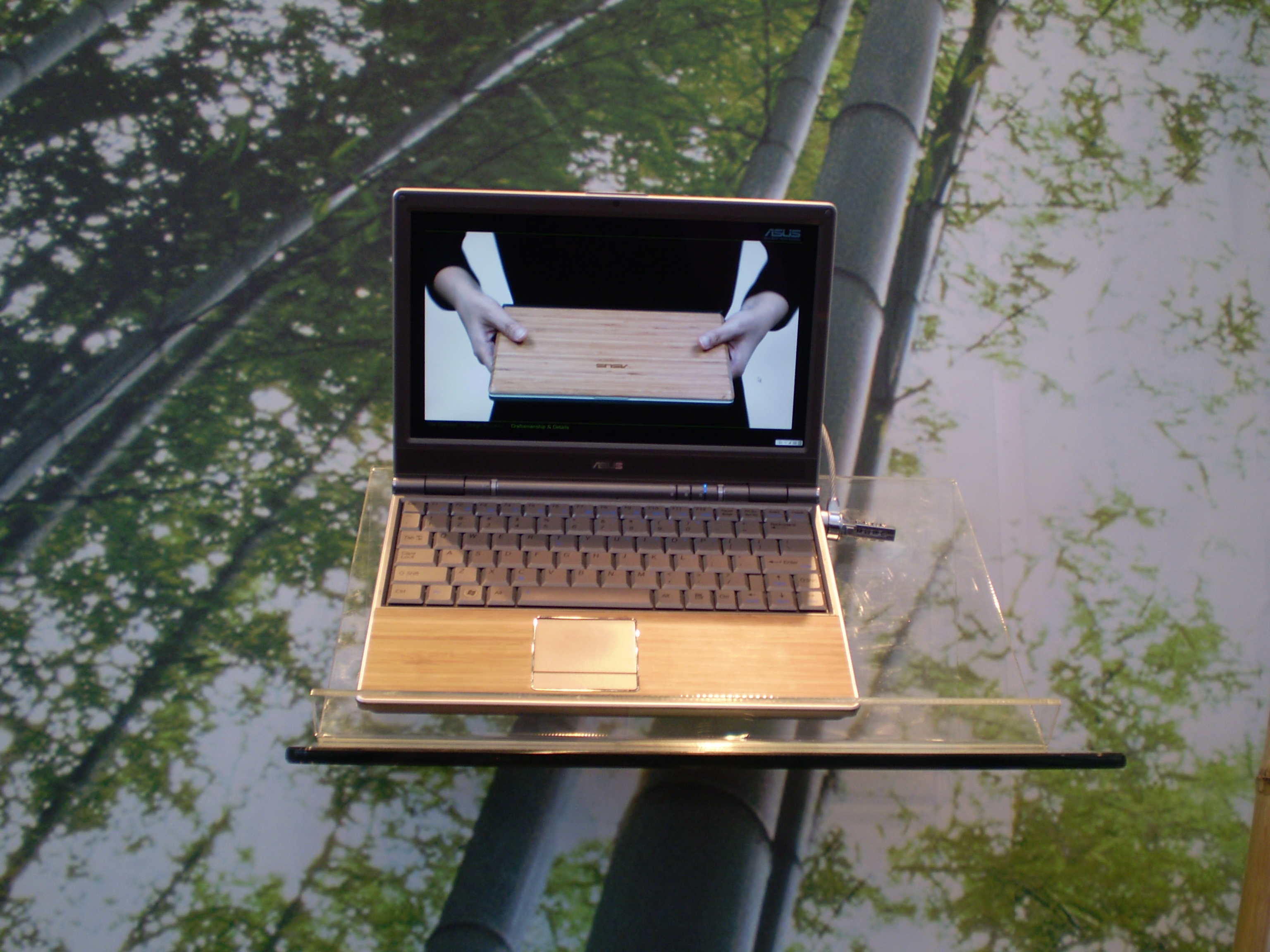 Asus Bamboo Series