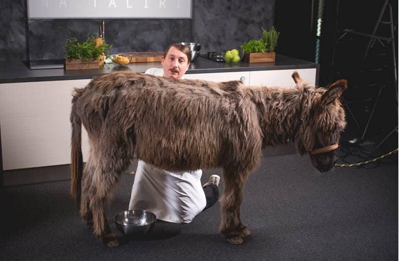 Zvíře si zahrálo v jednom z dílů Luxusu na talíři. Oslice Mirka v něm nadojila mléko na přípravu žemlovky (viz https://www.stream.cz/luxus-na-taliri/10010361-gurmanska-zemlovka).