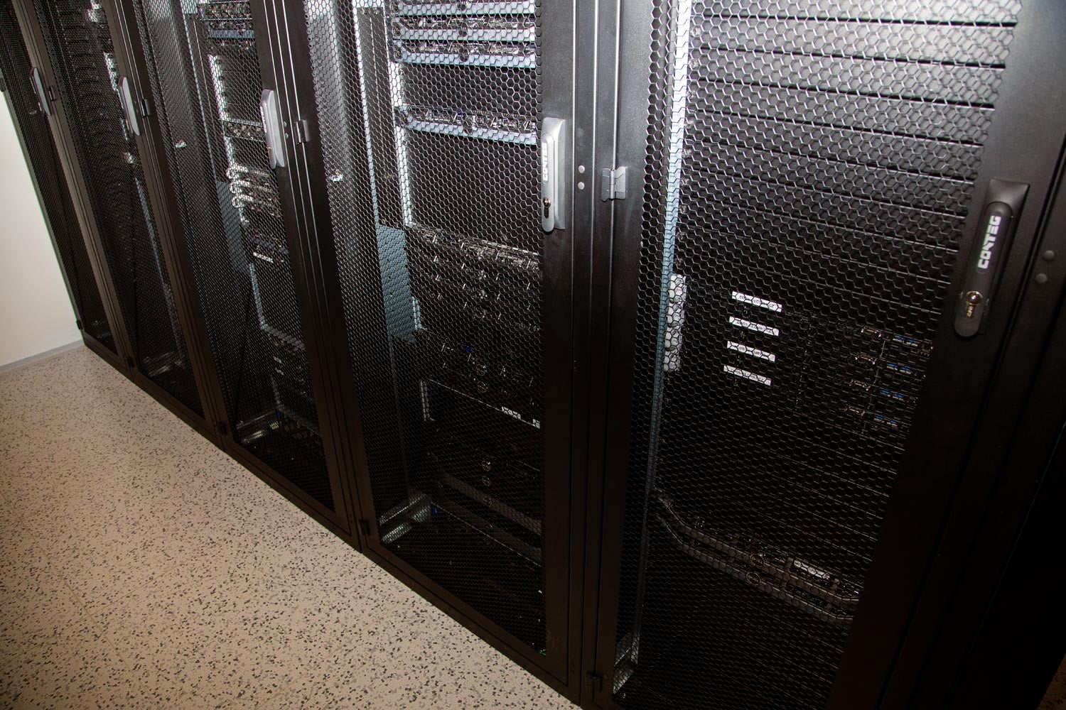 Pohled na studenou uličku, racky v řadě B.