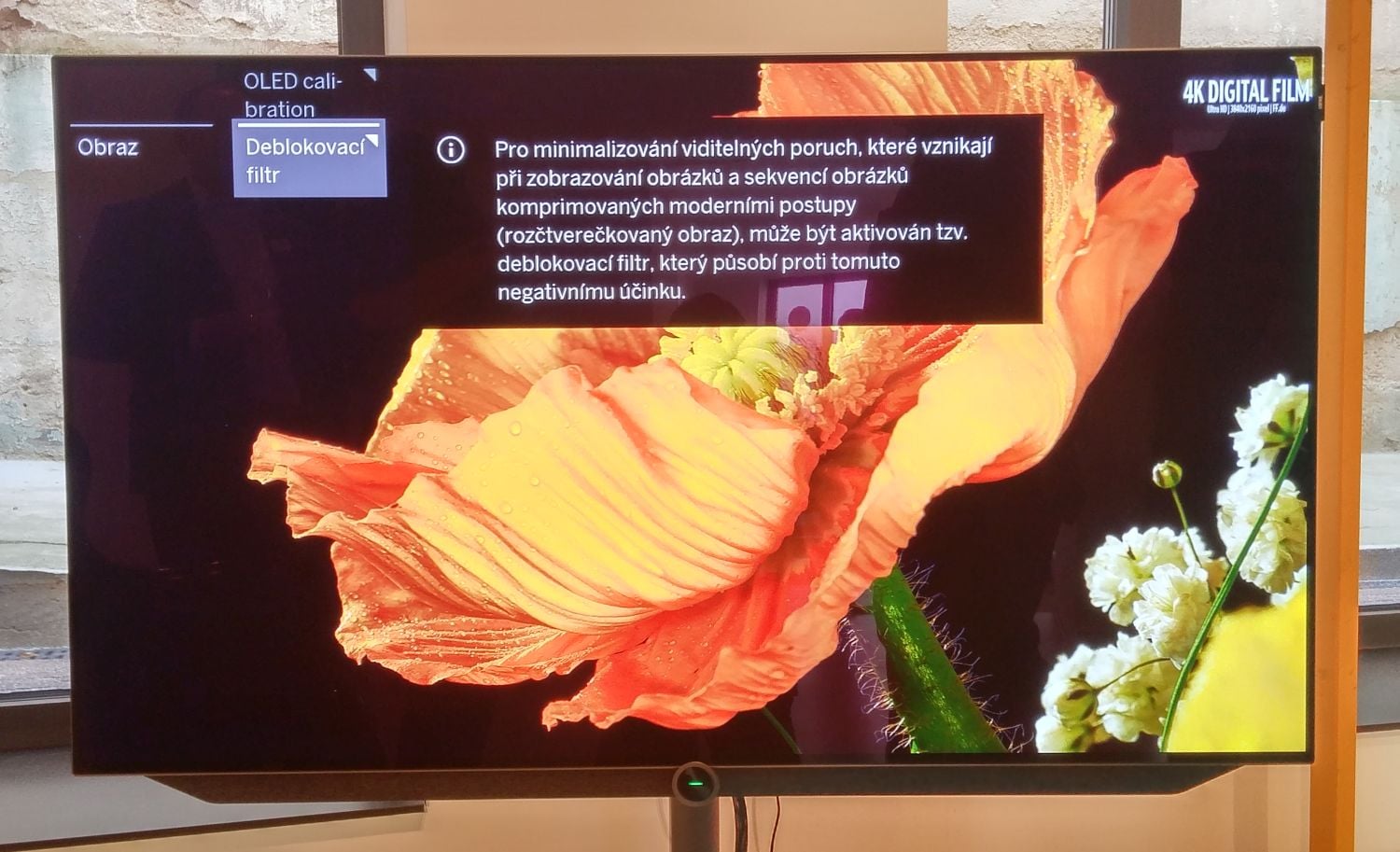 Loewe Bild 7 - menu specialitky