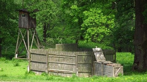 Náhledový obrázek - Desetinásobně předražené posedy. Dotace na lesy byly nehospodárné, zjistili kontroloři