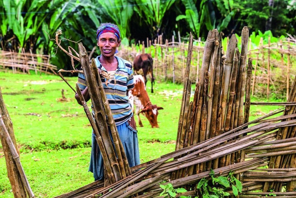 2018-02-etiopie-voda-c48dlovc49bk-v-tc3adsni-tomc3a1c5a1-novc3a1