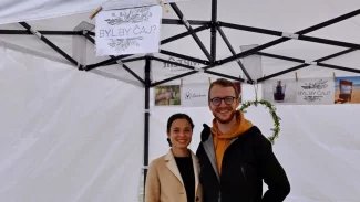 Ilustrační obrázek