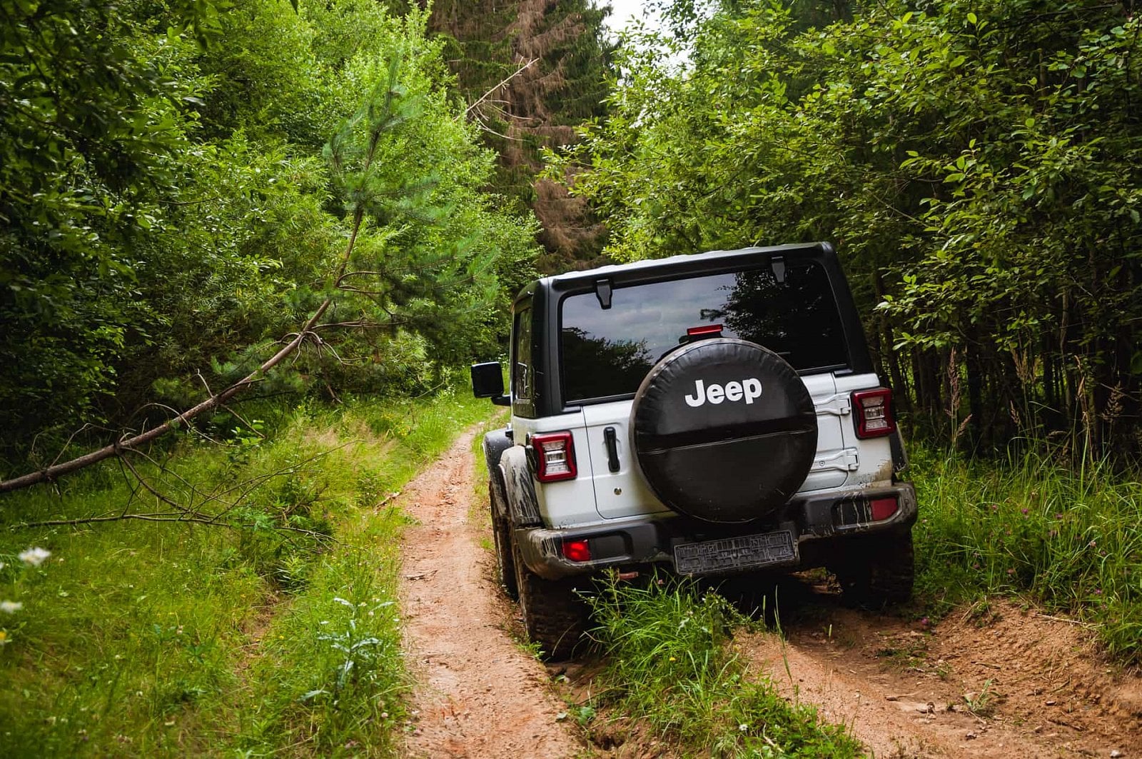 2019-08-jeep-wrangler-rubicon-49-of-67.jpg