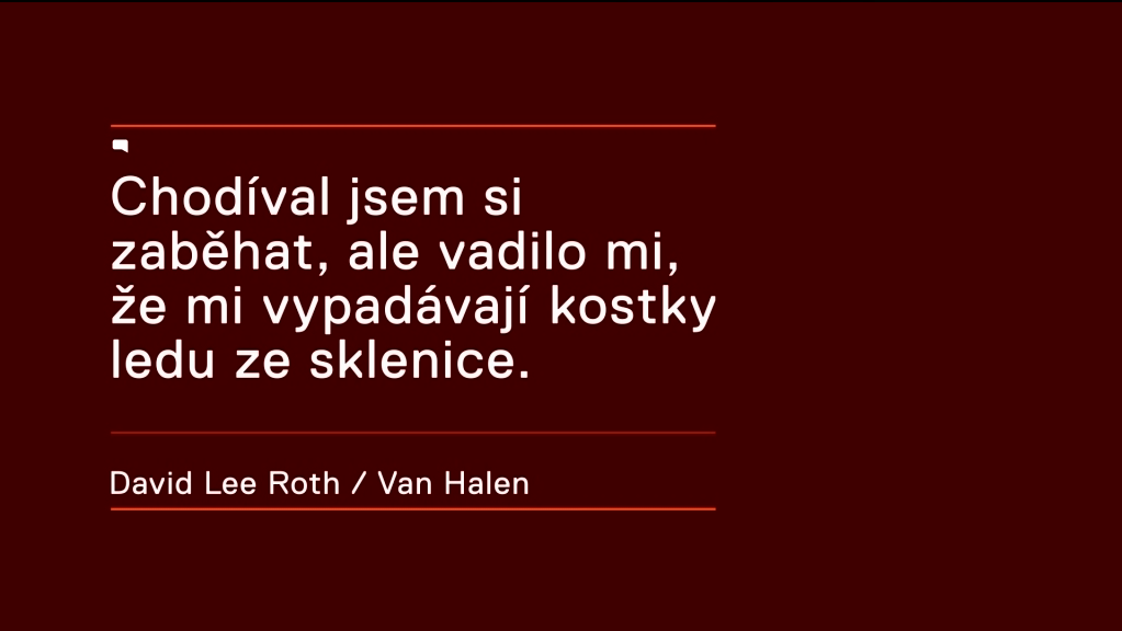 První kategorii tvoří více či méně známé hlášky, resp. citáty hudebníků.