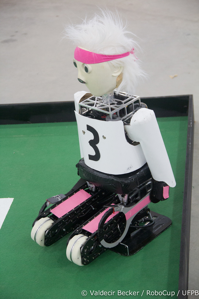 RoboCup 2014