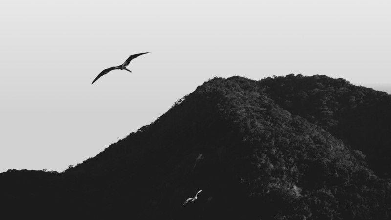 elementary OS 5.1 Hera - galerie tvůrců