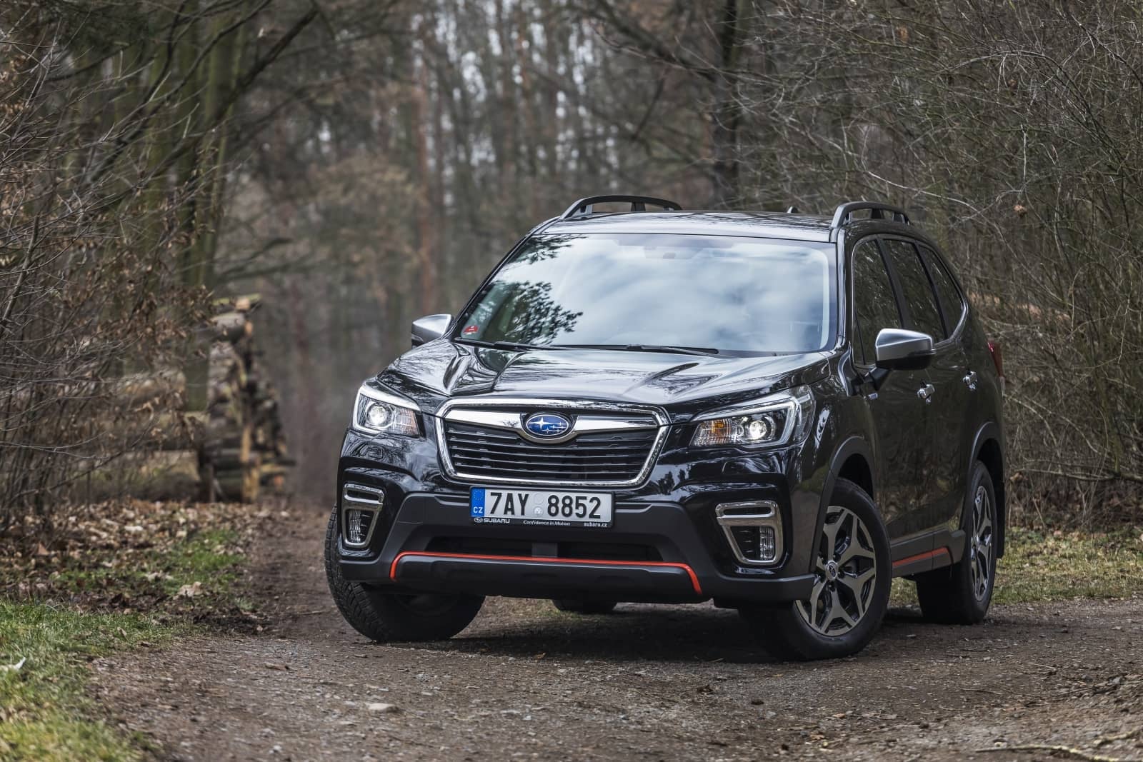 2020-04-aDMB2020_Forester-e-boxer-A7-6539.jpg