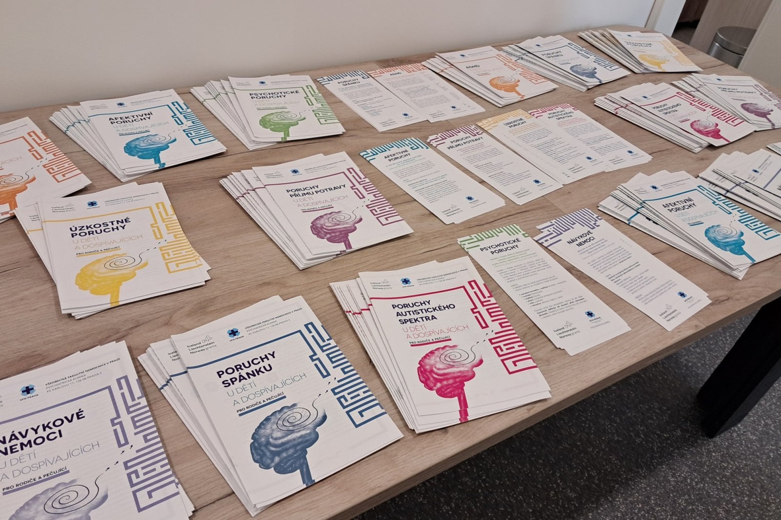 Denní stacionáře ve VFN v novém