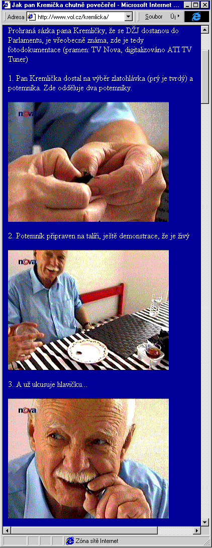 Český Internet v roce 1998