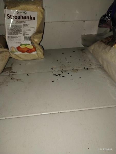 Myší trus v hradecké večerce