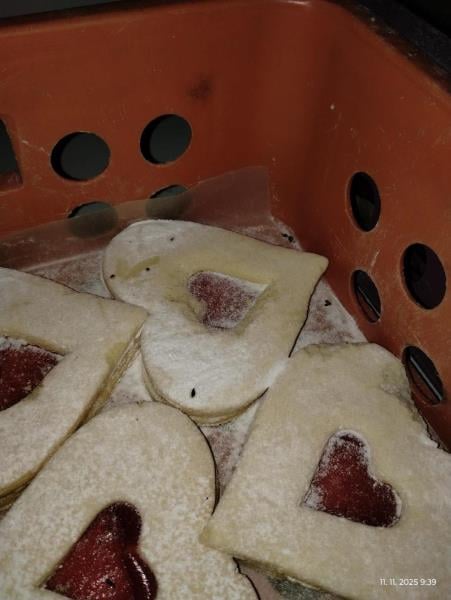 Myší trus v hradecké večerce