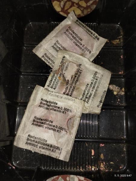 Myší trus v hradecké večerce