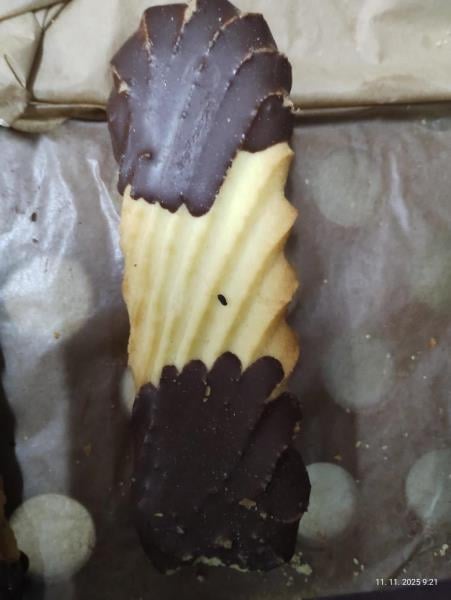 Myší trus v hradecké večerce