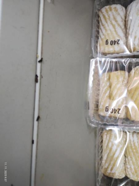 Myší trus v hradecké večerce