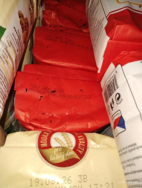 Myší trus v hradecké večerce