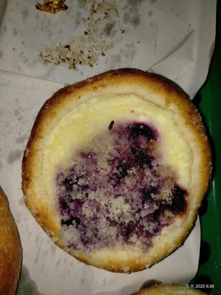 Myší trus v hradecké večerce