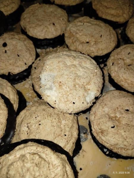 Myší trus v hradecké večerce