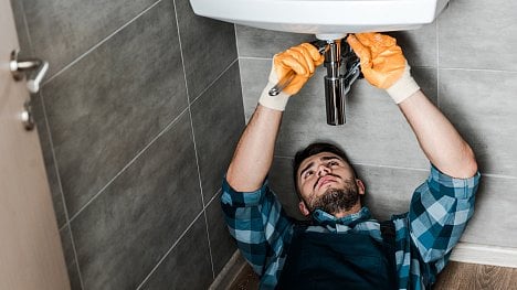 Pomoc, na kterou se zapomíná. Asistenční služba k pojištění majetku zajistí zámečníka i likvidaci vosího hnízda
