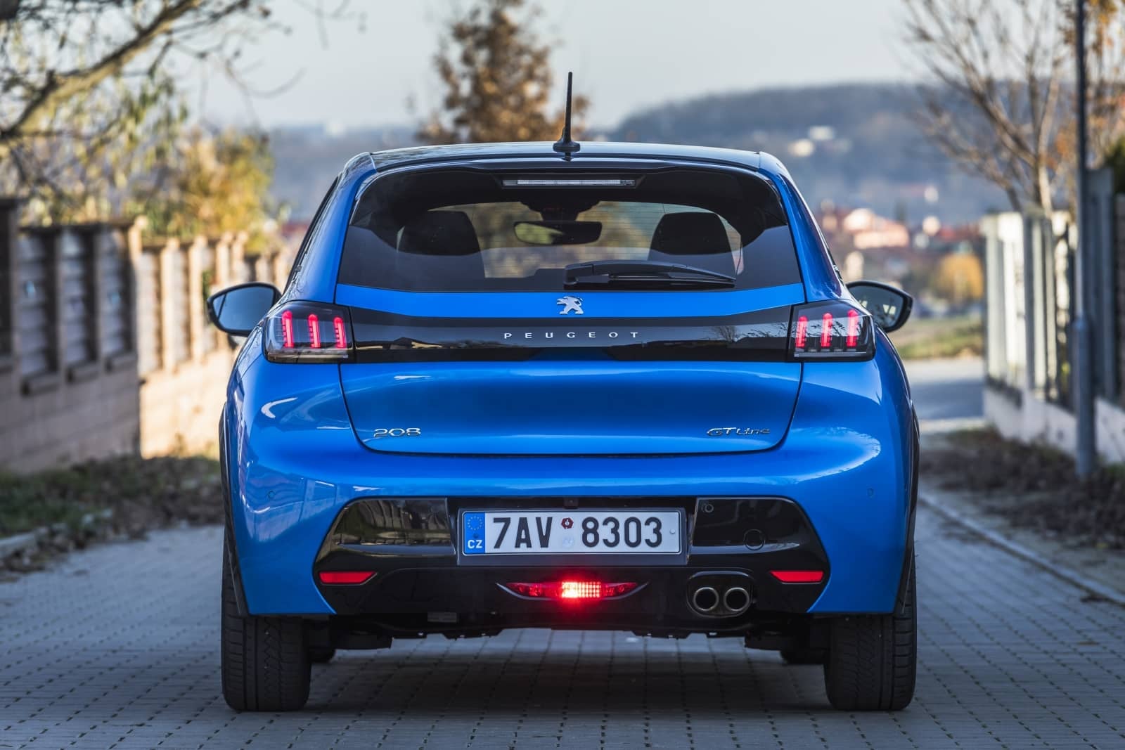 2020-01-Peugeot208102.jpg