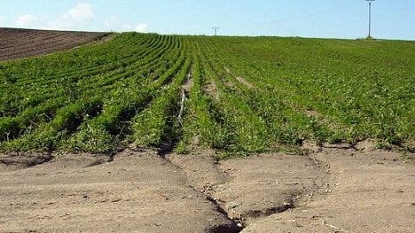 Náhledový obrázek - Přebytek hospodaření krajů a obcí by měl v příštím roce klesnout