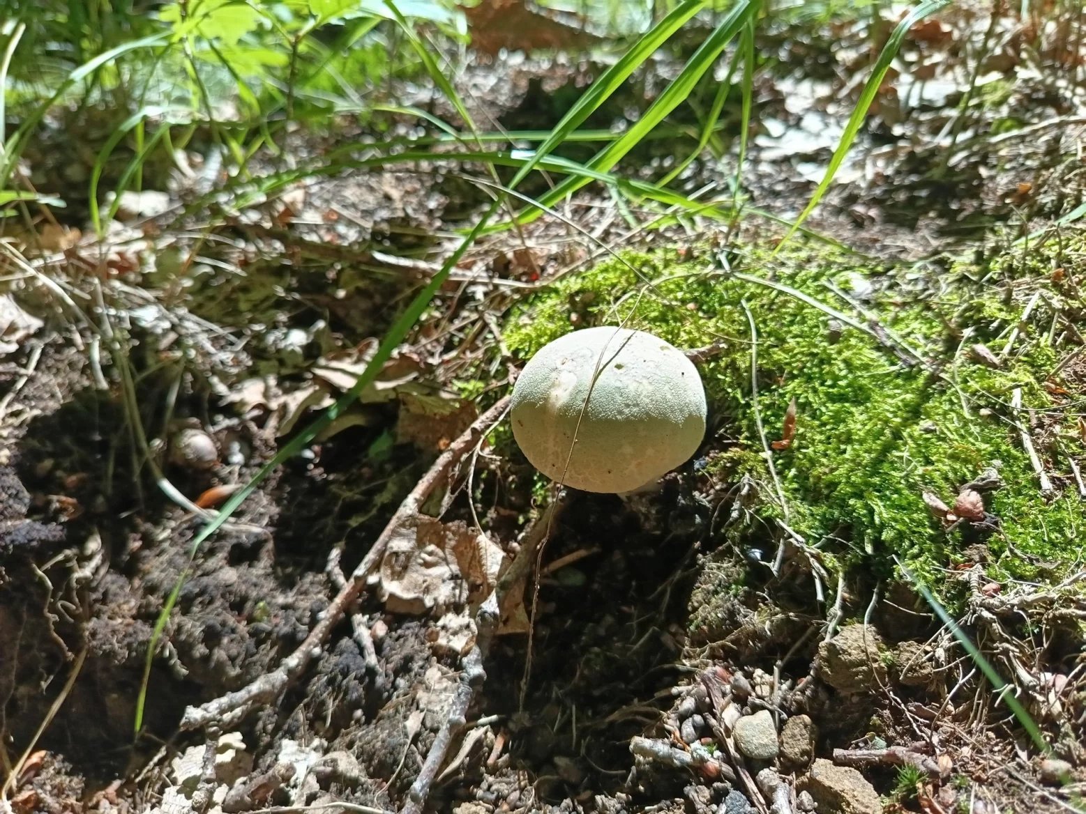 Honor 200 Lite: hlavní 108Mpx fotoaparát