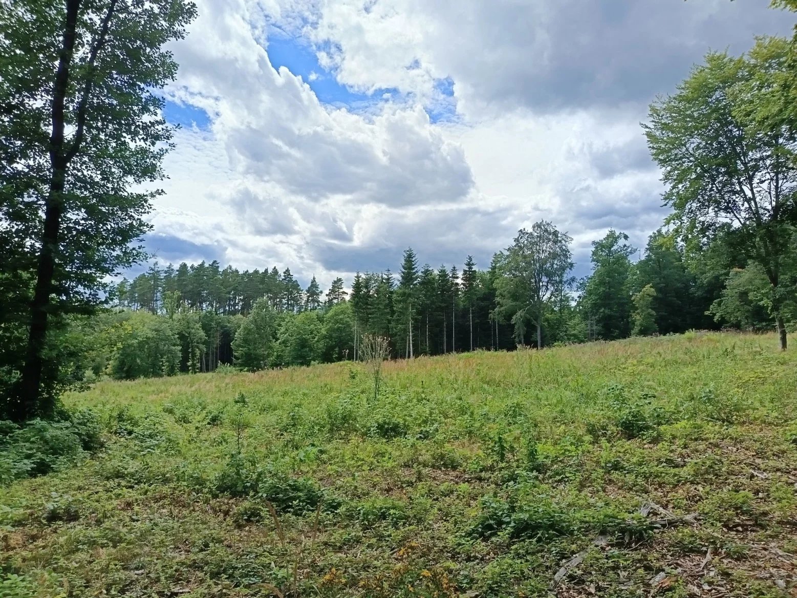 Honor 200 Lite: hlavní 108Mpx fotoaparát