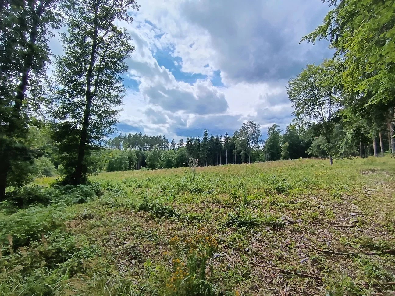 Honor 200 Lite: ultraširokoúhlý 5Mpx fotoaparát